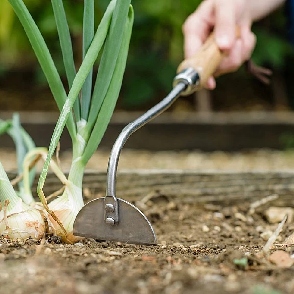 Kent & Stowe Stainless Steel Hand Onion Hoe - Image 2