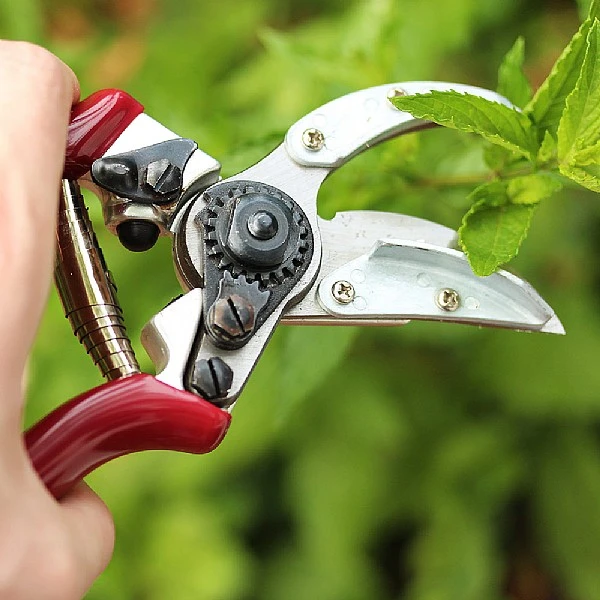 Kent & Stowe Rose Cut & Hold Secateurs - Image 2