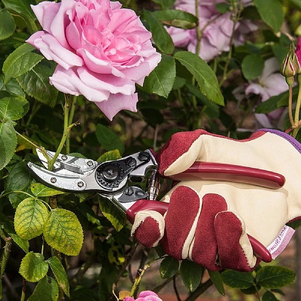 Kent & Stowe Rose Cut & Hold Secateurs - Image 3