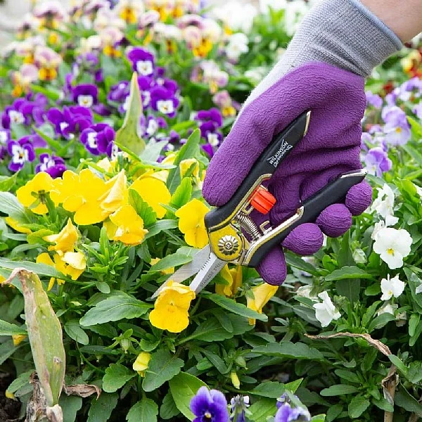 Wilkinson Sword Precision Pruner Twin Pack - Image 2