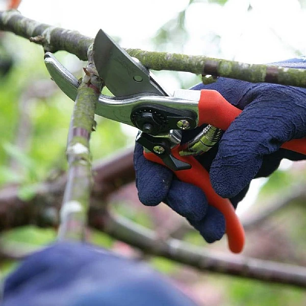 Wilkinson Sword Folding Pruner Saw & Pruner Set - Image 3