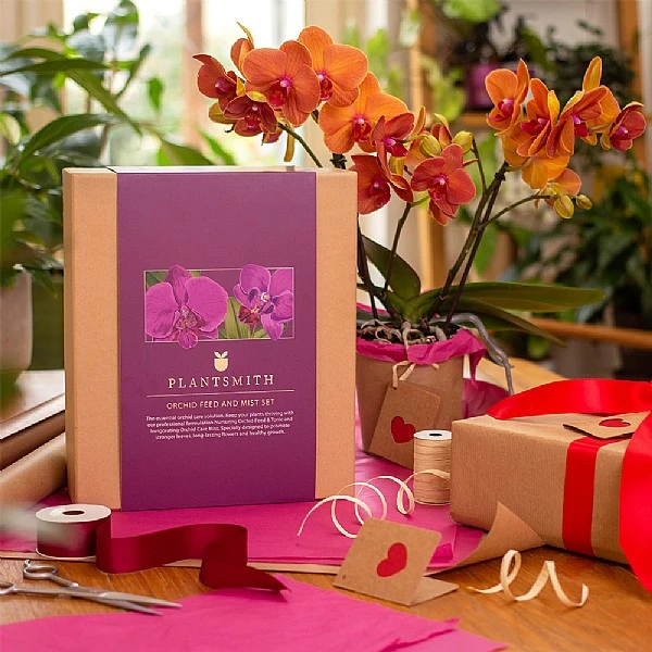 Plantsmith Orchid Care Gift Box Feed & Mist - Image 4