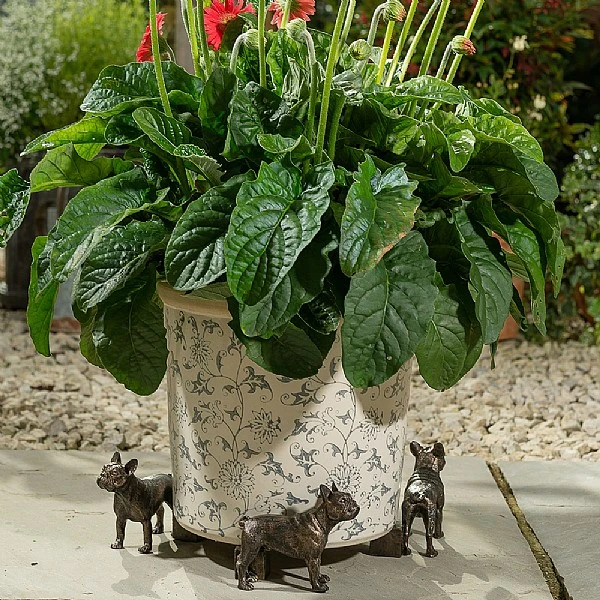 Jardinopia Plant Pot Feet Bronze French Bulldog - Image 3