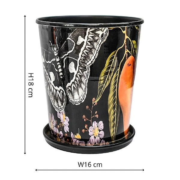 Kew Eclectic Orangery Planter With Saucer 16cm - Image 3