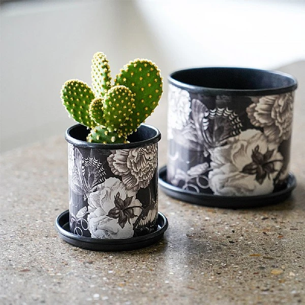 Kew Eclectic Orangery Noir Planter With Saucer 9cm - Image 2