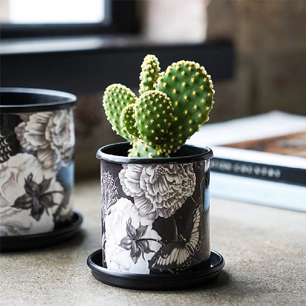 Kew Eclectic Orangery Noir Tall Planter With Saucer 13cm - Image 3