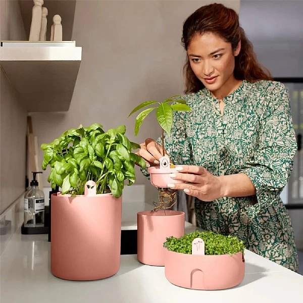 Elho Bouncy Basil Herb Pot Toffee Terracotta