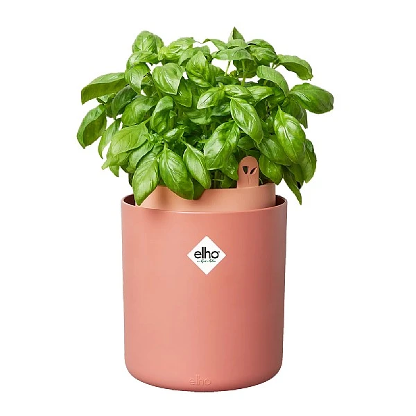 Elho Bouncy Basil Herb Pot Toffee Terracotta - Image 3