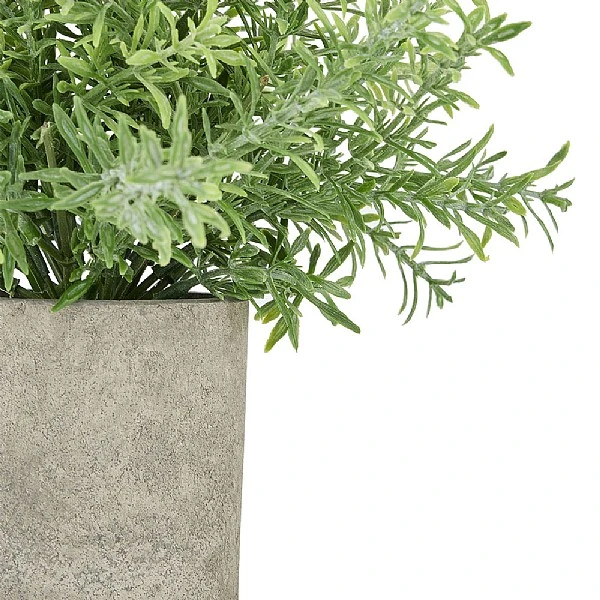 Rosemary Plant Stone Pot - Image 2