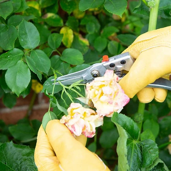 Wilkinson Sword Razorcut Comfort Pruning Snips - Image 2