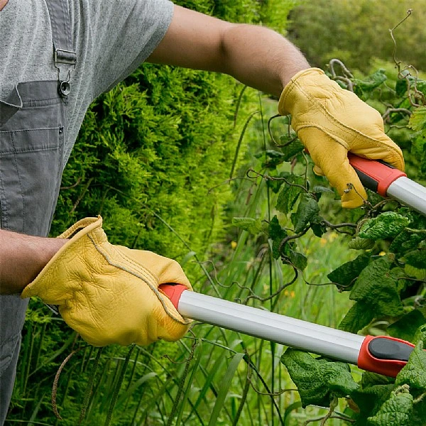 Town & Country Deluxe Premium Leather Gloves XL - Image 2