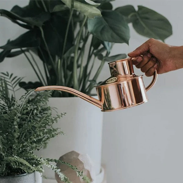 Haws Fazeley Flow 1 Pint Watering Can (Various Colours) - Image 2